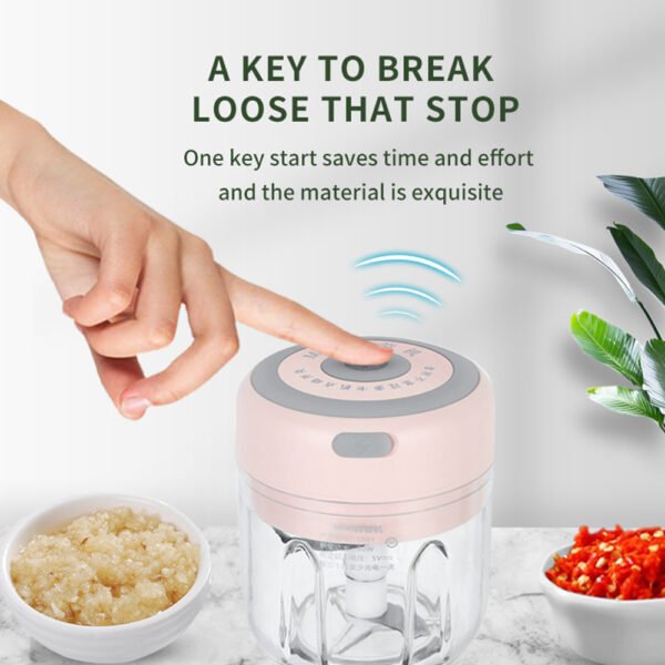 ExpressCut Mini Electric Veggie Chopper