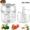ExpressCut Mini Electric Veggie Chopper