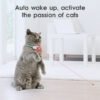 LaserChase Smart Interactive Cat Collar