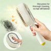 Hydrating Mist Electric Hair Brush | Anti-Static Airbag Massager for Silky Hair
